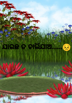 ଯାଉଛ ତ ଚାଲିଯାଅ.....😣