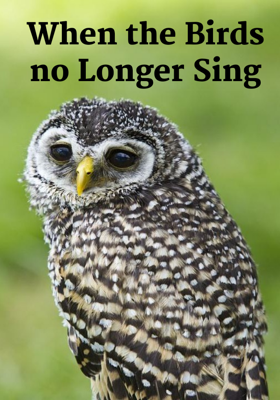 When the Birds no Longer Sing