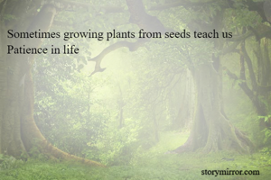 Sometimes growing plants from seeds teach us Patience in life