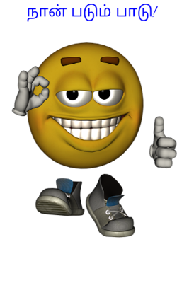 நான் படும் பாடு!