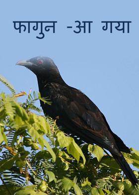 फागुन -आ गया