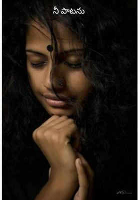 నీ పాటను