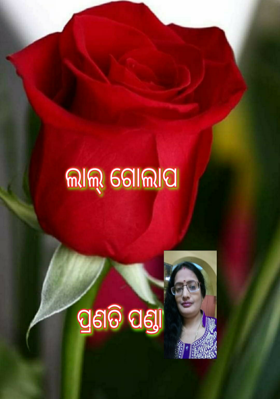 ଲାଲ୍ ଗୋଲାପ