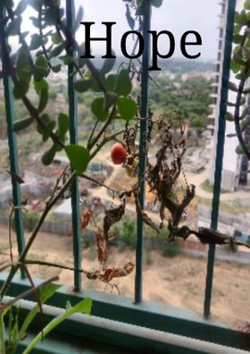 Hope