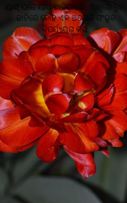 ୟାସ୍ ପରେ