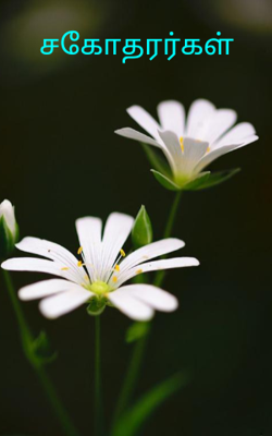 சகோதரர்கள்