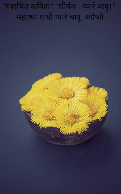 प्यारे बापू