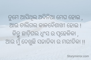 ତୁମେ ଆସିଥିଲ ଅଦିନିଆ ମେଘ ହୋଇ ,
ଆଉ ଚାଲିଗଲ କାଳବୈଶାଖୀ ହୋଇ !
କିନ୍ତୁ ଛାଡ଼ିଗଲ ଧ୍ଵଂସ ର ପୃହେଳିକା ,
ଆଉ ମୁଁ ଦେଖୁଛି ସଜାଡିବା ର ମରୀଚିକା !!
