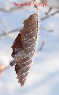 Hardwork PaysOff Always