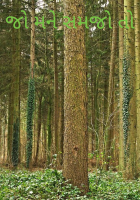 જો મને સમજો તો