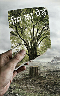 नीम का पेड़