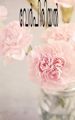 വിവാഹമോചനം