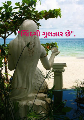 જિંદગી ગુલઝાર છે