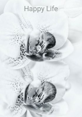 Happy Life