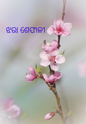 ଝରା ଶେଫାଳୀ