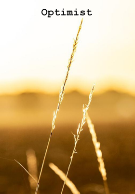 Optimist
