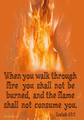 Not Only Did I Walk Through Fire....I Walked On Fi