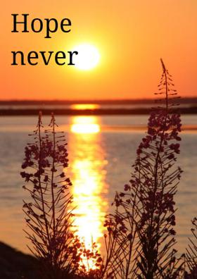Hope Never Dies