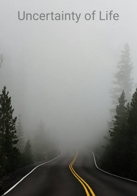 Uncertainty of Life