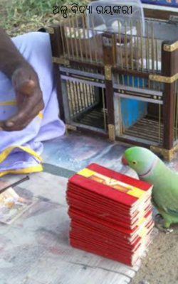 ଅଳ୍ପ ଵିଦ୍ୟା ଭୟଙ୍କରୀ