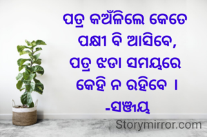ପତ୍ର କଅଁଳିଲେ କେତେ 
ପକ୍ଷୀ ବି ଆସିବେ,
ପତ୍ର ଝଡା ସମୟରେ 
କେହି ନ ରହିବେ ।
-ସଞ୍ଜୟ