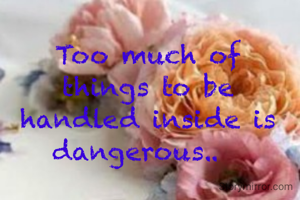 Too much of things to be handled inside is dangerous..  