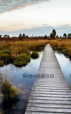 திருமந்திரம்