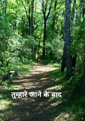 तुम्हारे जाने के बाद