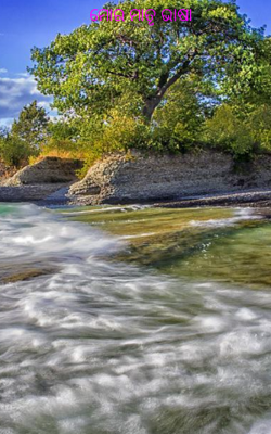 ମୋର ମାତୃ ଭାଷା