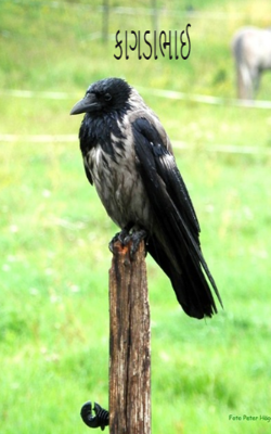 કાગડાભાઈ