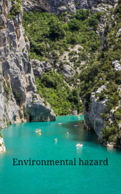 Environmental hazard