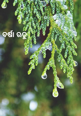 ବର୍ଷା ଋତୁ
