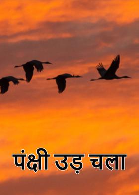 पंक्षी उड़ चला