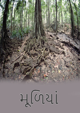 મૂળિયાં