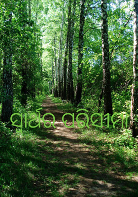 ସ୍ୱାର୍ଥର ପରିସୀମା