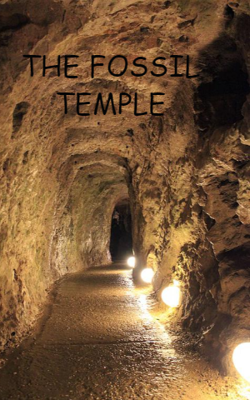 The Fossil Temple