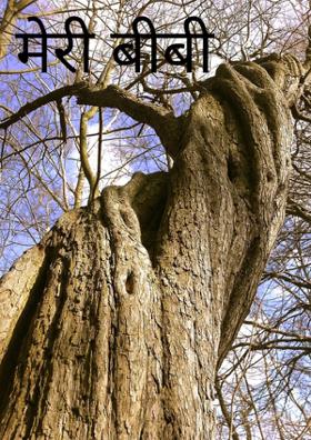 बीबी का प्यार