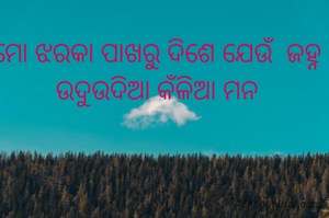 ମୋ ଝରକା ପାଖରୁ ଦିଶେ ଯେଉଁ  ଜହ୍ନ
ଉଦୁଉଦିଆ କଁଳିଆ ମନ