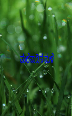 ಮಲೆನಾಡಿನ ಮಳೆ