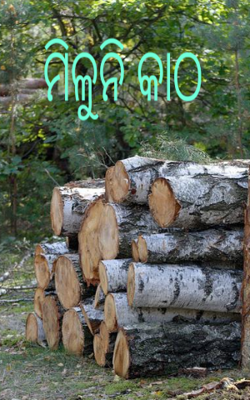 ମିଳୁନି କାଠ