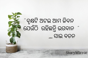 " ବୃକ୍ଷଟି ଅଟଇ ଆମ ଜିବନ
   ଯେଉଁଠି  ରହିଛନ୍ତି ଭଗବାନ  "
                  _ସାଇ ବଚନ
