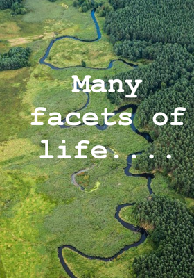 Many facets of life....