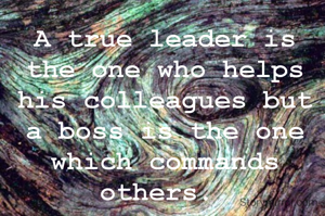 A true leader is the one who helps his colleagues but a boss is the one which commands others. 