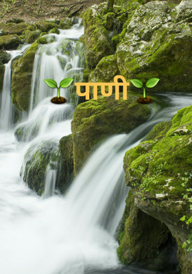 पाणी