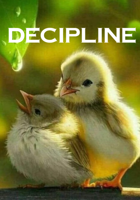 𝐃𝐢𝐬𝐜𝐢𝐩𝐥𝐢𝐧𝐞