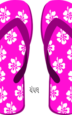 એક જોડ ચંપલ