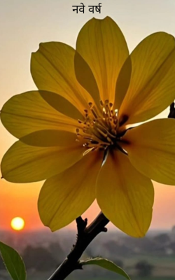 नवे वर्ष