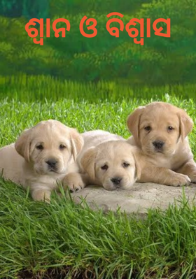 ଶ୍ବାନ ଓ ବିଶ୍ୱାସ