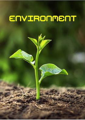Environment