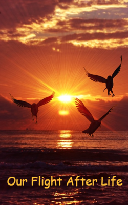 Our Flight After Life